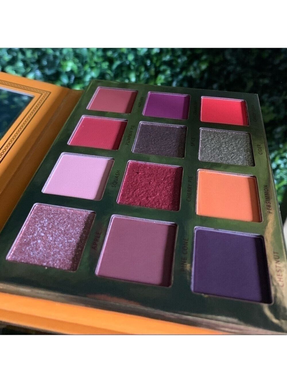 Ace Beaute FALLING FOR YOU Eyeshadow Palette | NEW